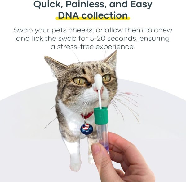 Basepaws Cat DNA Test Kit 2 Pack- Comprehensive Breed, Health and Dental Analysis Across 114 Traits for Accurate and Easy-to-Use Genetic Insights - Image 7