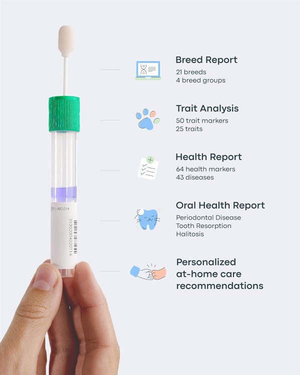 Basepaws Cat DNA Test Kit 2 Pack- Comprehensive Breed, Health and Dental Analysis Across 114 Traits for Accurate and Easy-to-Use Genetic Insights - Image 8