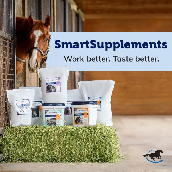 SmartPak Stress Ease SmartPak | Horse Calming Supplies, Premeasured, Labeled, and Sealed Pack | Herb-Free and No Sugar Added Formula for Skittish or Nervous Horses - Image 9