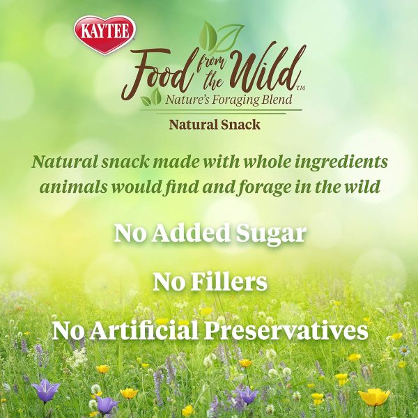 Kaytee Food from The Wild Natural Snack for Pet Hamsters, Gerbils, Rats and Mice, 2 Ounces - Image 4