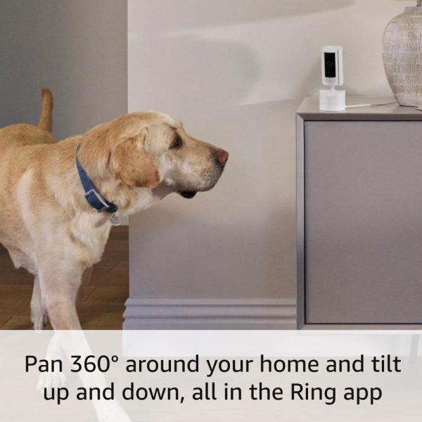 Introducing Ring Pan-Tilt Indoor Cam | See all around with 360° pan coverage, HD video, plus Two-Way Talk (2024 release) | Blush - Image 3