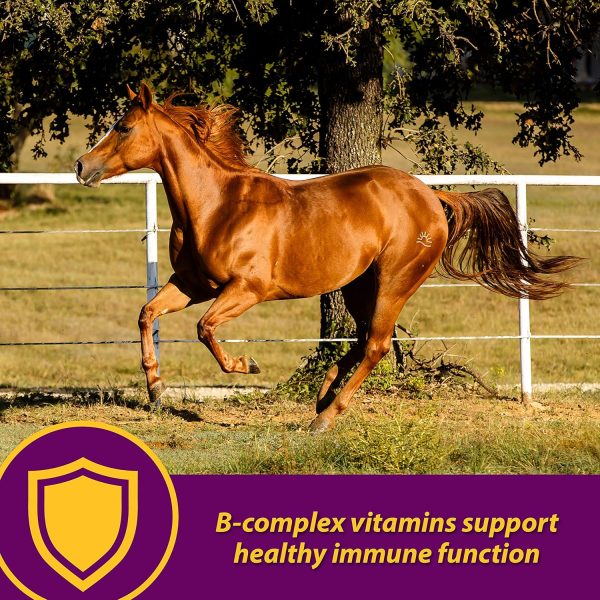 Farnam Horse Health Red Cell Pellets, Vitamin-Iron-Mineral Supplement for Horses, Helps Fill Important Nutritional Gaps in Horse's Diet, 4 lbs., 64-Day Supply - Image 3