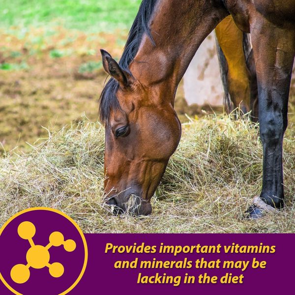 Farnam Horse Health Red Cell Pellets, Vitamin-Iron-Mineral Supplement for Horses, Helps Fill Important Nutritional Gaps in Horse's Diet, 4 lbs., 64-Day Supply - Image 4