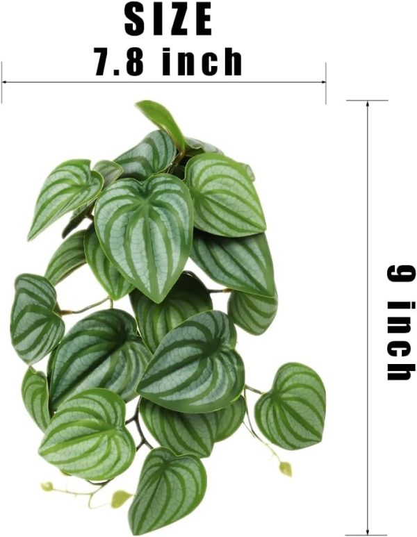 Reptile Plants for Terrarium, Amphibian Habitat Decor Artificial Hanging Plants with Suction Cup - Fake Calathea Orbifolia - Image 2