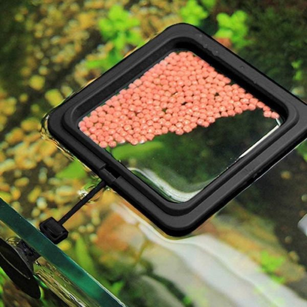 2pcs Black Fish Feeding Ring Turtle Aquarium Automatic Fish Food Feeder Floating Food Feeding Square Ring with Suction Cup Useful and Nice Fish and Aquatic Pets