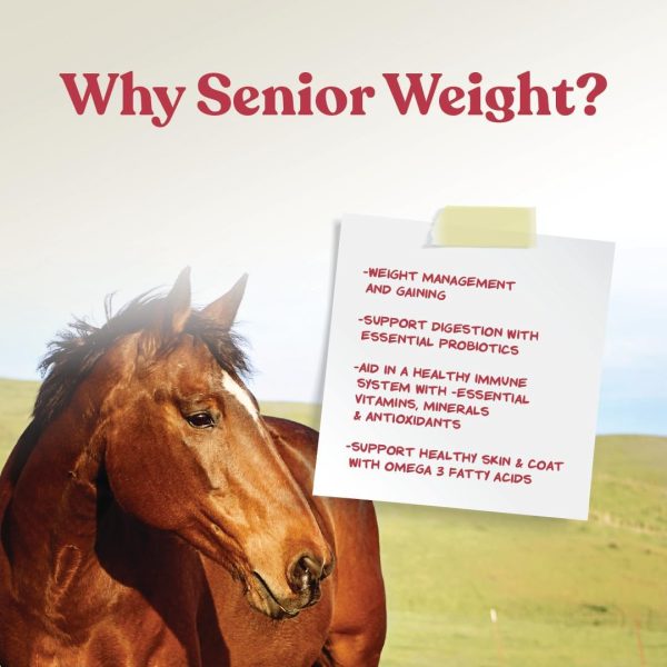 Manna Pro Weight Accelerator for Senior Horses | Made with Omega 3 Fatty Acids from Flaxseed | 8 Pounds - Image 6