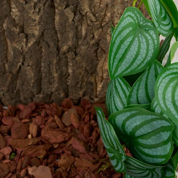 Reptile Plants for Terrarium, Amphibian Habitat Decor Artificial Hanging Plants with Suction Cup - Fake Calathea Orbifolia - Image 4