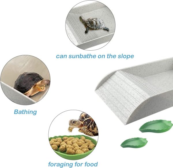 3 PCS Tortoise Food Dish with Ramp and Tortoise Water Bowl,Gray Reptile Water Bowl,Reptile Water Dish Amphibians Habitat,Reptile Water Bowl for Turtles,Horned Frogs and Lizards - Image 4