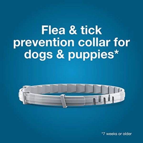 Seresto Small Dog Vet-Recommended Flea & Tick Treatment & Prevention Collar for Dogs Under 18 lbs. | 8 Months Protection - Image 4