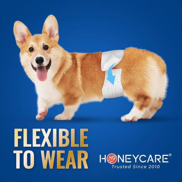 HONEY CARE All-Absorb A26 Male Dog Wrap, 50 Count, Small - Image 5