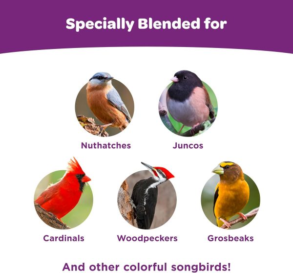 Kaytee Nut and Fruit Blend, Premium Wild Bird Food, Specially Blended for Colorful Songbirds - Image 5