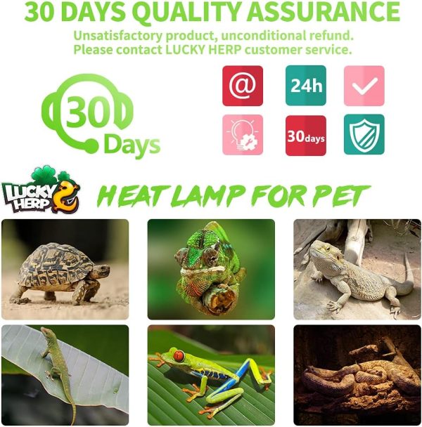 LUCKY HERP 2 Pack Reptile Heat Lamp Bulbs 75W (2nd Gen), Basking Light Bulb for Reptiles & Amphibians, Simulated Natural Sunlight Terrarium Heat Lamps for Bearded Dragon, Lizard, Turtle, Tortoise - Image 7