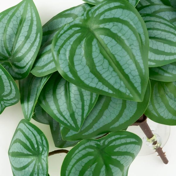 Reptile Plants for Terrarium, Amphibian Habitat Decor Artificial Hanging Plants with Suction Cup - Fake Calathea Orbifolia - Image 3