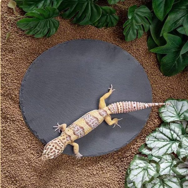 Reptile Basking Platform Rock Tortoise Habitat Slate Rock for Reptiles Food Dish Landscape Habitat Decor Accessories for Crested Gecko Lizard Bearded Dragon Turtle - Image 4