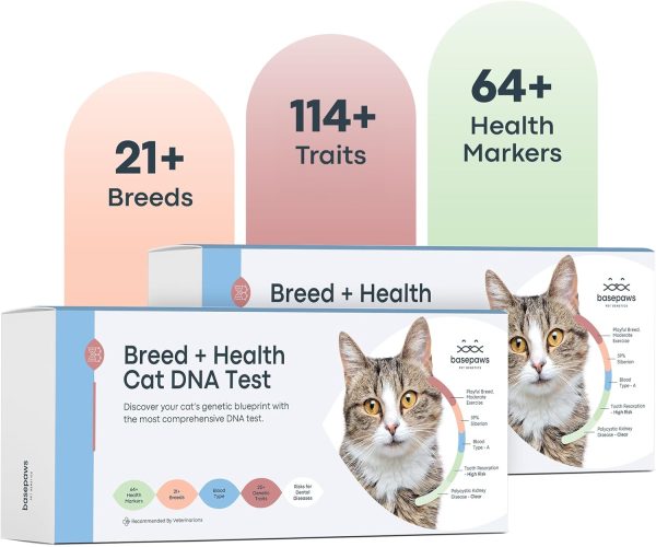 Basepaws Cat DNA Test Kit 2 Pack- Comprehensive Breed, Health and Dental Analysis Across 114 Traits for Accurate and Easy-to-Use Genetic Insights