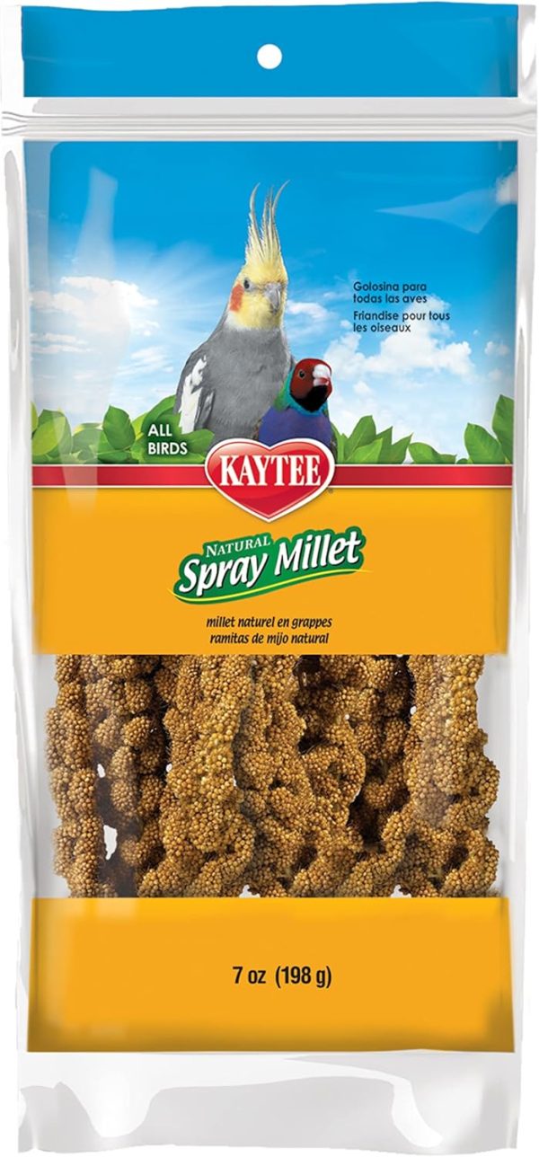 Kaytee Spray Millet Treat for Pet Birds, 7 Ounce