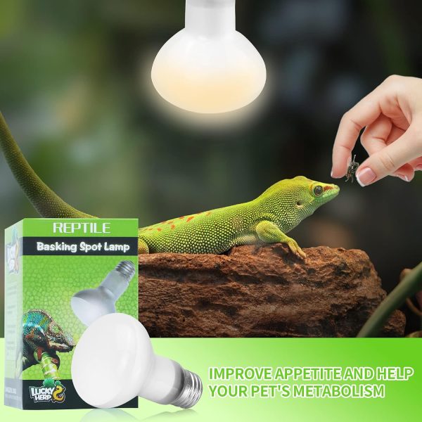 LUCKY HERP 2 Pack Reptile Heat Lamp Bulbs 75W (2nd Gen), Basking Light Bulb for Reptiles & Amphibians, Simulated Natural Sunlight Terrarium Heat Lamps for Bearded Dragon, Lizard, Turtle, Tortoise - Image 3