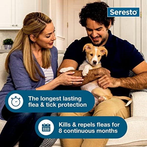 Seresto Small Dog Vet-Recommended Flea & Tick Treatment & Prevention Collar for Dogs Under 18 lbs. | 8 Months Protection - Image 6