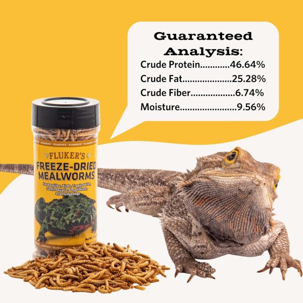 Fluker's Freeze Dried Insects, Nutrient, Packed Mealworms, Ideal for Lizards, Reptiles, Birds, Fish, Hedgehogs, 1.7 oz - Image 5