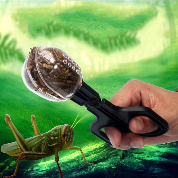 Reptiles Feeding Scooper Poop Cleaning Clamp Spoon-shaped Tips Feeder Tweezers For Snakes Lizard Tarantulas Reptile Supplies Pet Supplies Reptile Pet Supplies Amphibians Supplies Pet Health Pet - Image 3