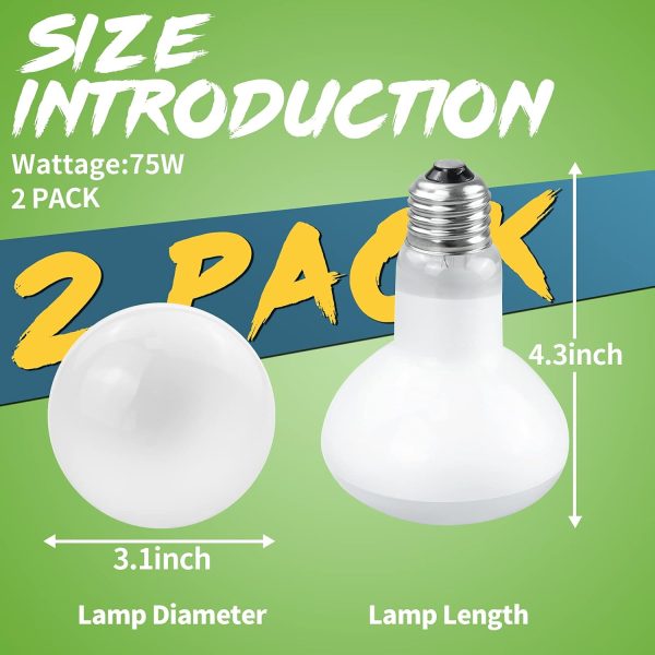 LUCKY HERP 2 Pack Reptile Heat Lamp Bulbs 75W (2nd Gen), Basking Light Bulb for Reptiles & Amphibians, Simulated Natural Sunlight Terrarium Heat Lamps for Bearded Dragon, Lizard, Turtle, Tortoise - Image 4