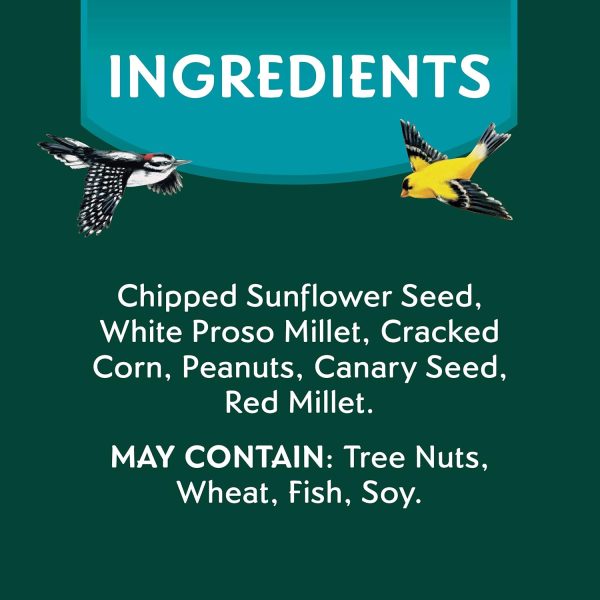 Morning Song Clean & Free Shell Free Wild Bird Food, Premium No Mess Bird Seed for Outside Feeders, 10-Pound Bag - Image 9