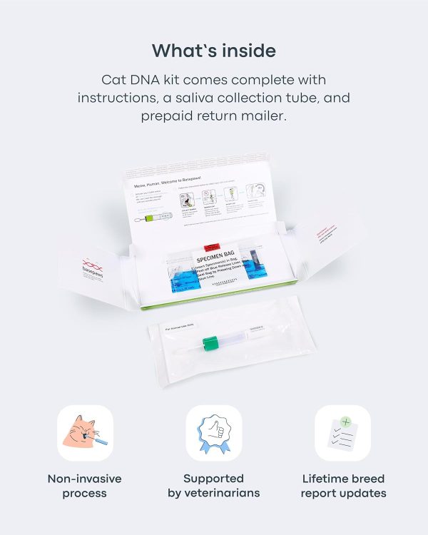 Basepaws Cat DNA Test Kit 2 Pack- Comprehensive Breed, Health and Dental Analysis Across 114 Traits for Accurate and Easy-to-Use Genetic Insights - Image 9