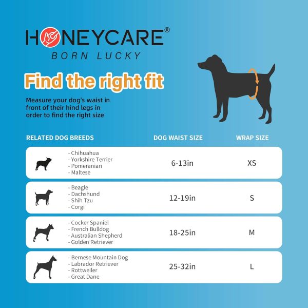 HONEY CARE All-Absorb A26 Male Dog Wrap, 50 Count, Small - Image 3