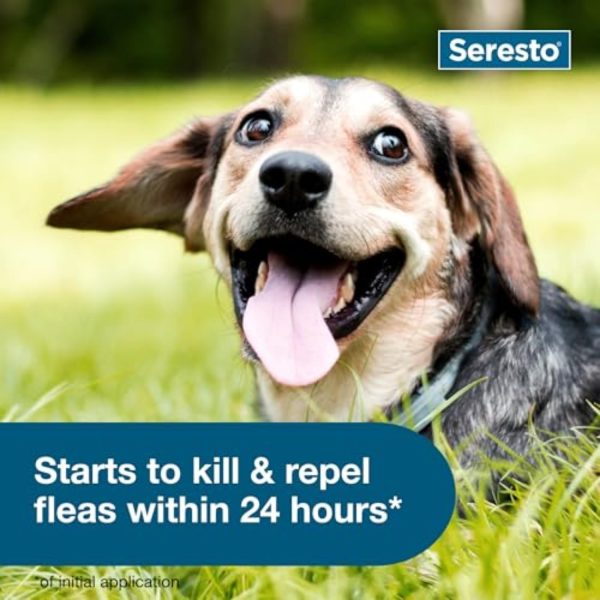 Seresto Small Dog Vet-Recommended Flea & Tick Treatment & Prevention Collar for Dogs Under 18 lbs. | 8 Months Protection - Image 5