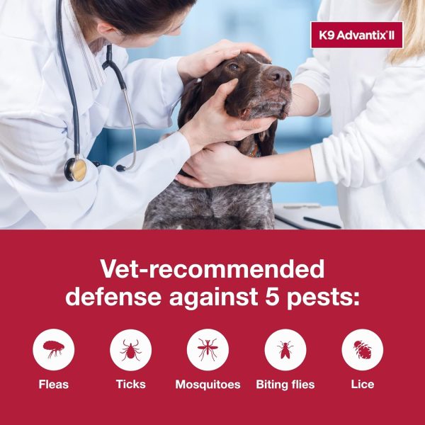 K9 Advantix II XL Dog Vet-Recommended Flea, Tick & Mosquito Treatment & Prevention | Dogs Over 55 lbs. | 6-Mo Supply - Image 5