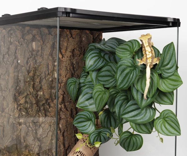 Reptile Plants for Terrarium, Amphibian Habitat Decor Artificial Hanging Plants with Suction Cup - Fake Calathea Orbifolia - Image 6
