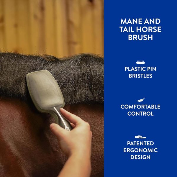 WAHL Professional Animal Equine Grooming Tool - Mane & Tail Brush (#858709-100) for Horses - Black - Image 4