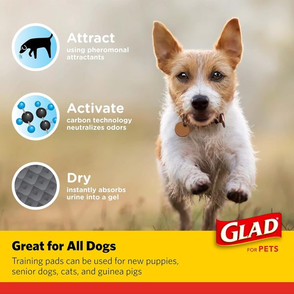 Glad for Pets Black Charcoal Puppy Pads - Super Absorbent Disposable Dog Pee Pads, Potty Training Pads, and Pet Supplies - Dog Pee Pads for Crate Training and Indoor Use 23" x 23" - 100 Count - Image 3