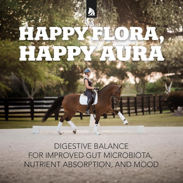 Daily Gold Stress Relief – Natural Digestive and Ulcer Supplement for Horses - Image 8