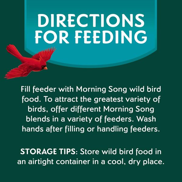 Morning Song Clean & Free Shell Free Wild Bird Food, Premium No Mess Bird Seed for Outside Feeders, 10-Pound Bag - Image 6