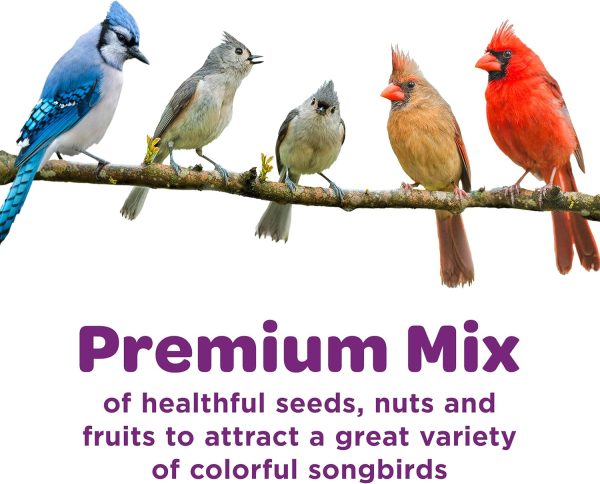 Kaytee Nut and Fruit Blend, Premium Wild Bird Food, Specially Blended for Colorful Songbirds - Image 3