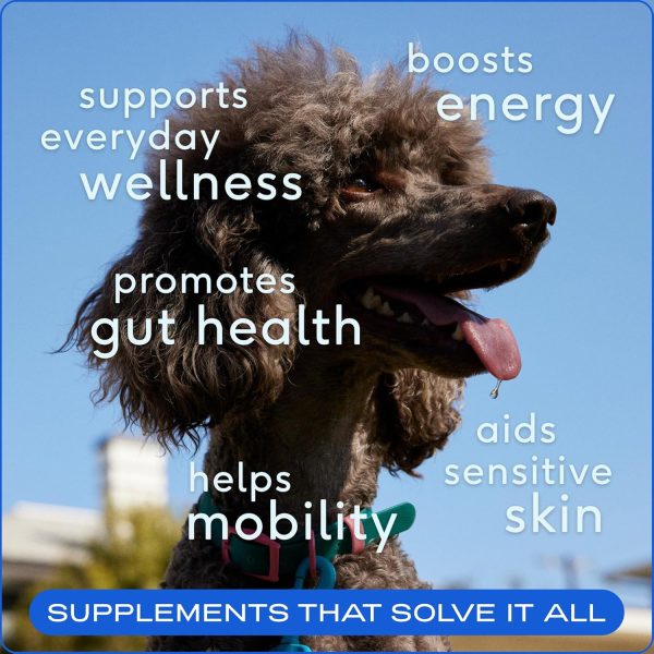 Native Pet The Daily Dog Supplement - 11 in 1 Dog Multivitamin - Tasty Scoop with Dog Supplements & Vitamins - Multi Vitamin for Dog Energy, Mobility, Skin & Coat - 12 Active Ingredients 14 oz - Image 5