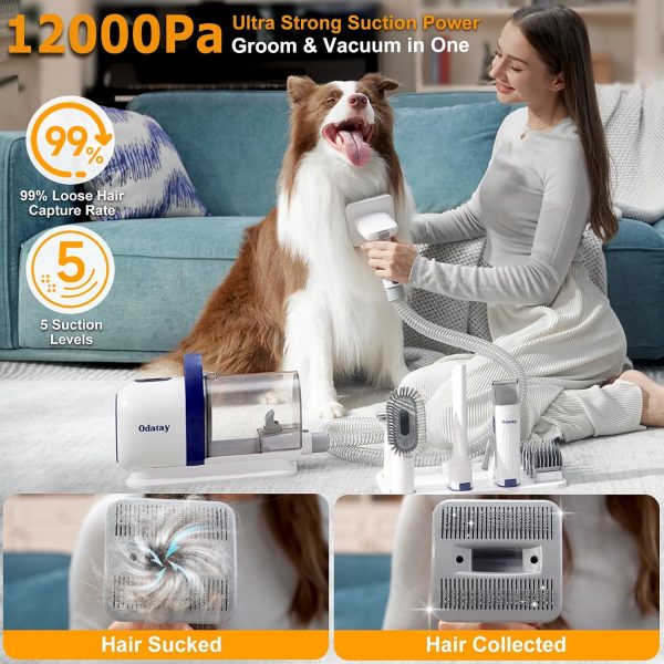 Dog Grooming Kit, 12,000Pa Strong Pet Grooming Vacuum for Dogs with Clipper Nail Grinder, 2L Dust Cup, 5 Suction Levels Dog Hair Vacuum with 7 Pet Grooming Tools for Shedding and Home Cleaning - Image 2