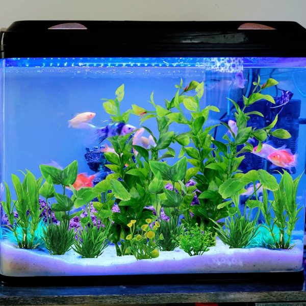 Fish Tank Accessories Green Plants, 10pcs Green Fish Tank Decorations, Aquarium Decor Plastic Plants - Image 5