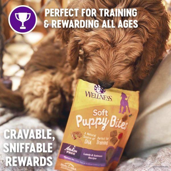 Wellness Soft Puppy Bites Healthy Grain-Free Treats for Training, Dog Treats with Real Meat and DHA, No Artificial Flavors (Lamb & Salmon, 8-Ounce Bag) - Image 3