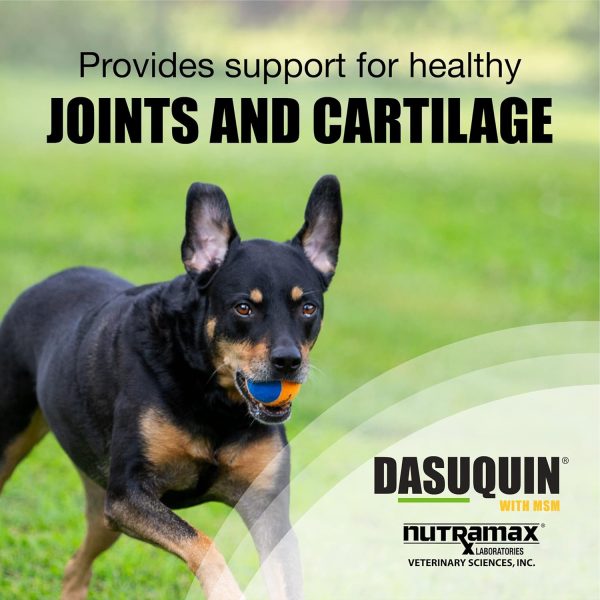 Nutramax Laboratories Dasuquin with MSM Joint Health Supplement for Large Dogs - With Glucosamine, MSM, Chondroitin, ASU, Boswellia Serrata Extract, and Green Tea Extract, 150 Soft Chews - Image 3