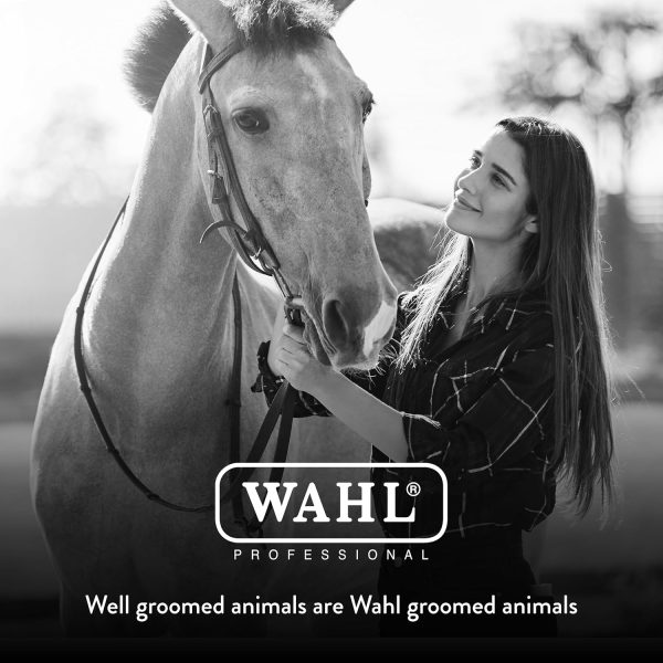 WAHL Professional Animal Equine Grooming Tool - Mane & Tail Brush (#858709-100) for Horses - Black - Image 7