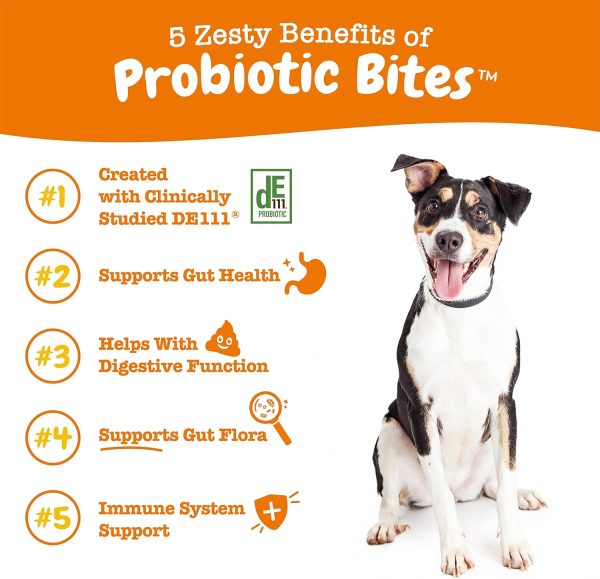 Zesty Paws Probiotics for Dogs - Digestive Enzymes for Gut Flora, Digestive Health, Diarrhea & Bowel Support - Clinically Studied DE111 - Dog Supplement Soft Chew for Pet Immune System - Pumpkin - Image 2