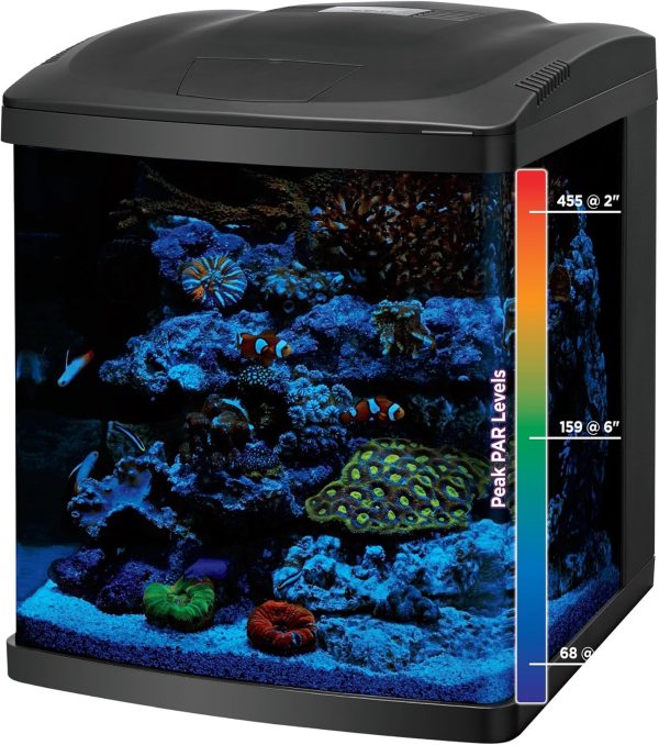 Coralife LED BioCube Aquarium Fish Tank Kit, 16 Gallon - Image 11