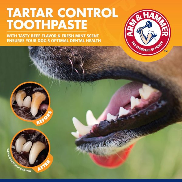 Arm & Hammer for Pets Tartar Control Kit for Dogs | Contains Toothpaste, Toothbrush & Fingerbrush | Reduces Plaque & Tartar Buildup | Safe for Puppies, 3-Piece , Beef Flavor - Image 5