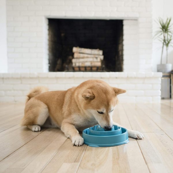 Outward Hound Fun Feeder Slo Bowl, Slow Feeder Dog Bowl, Medium/Mini, Turquoise - Image 7