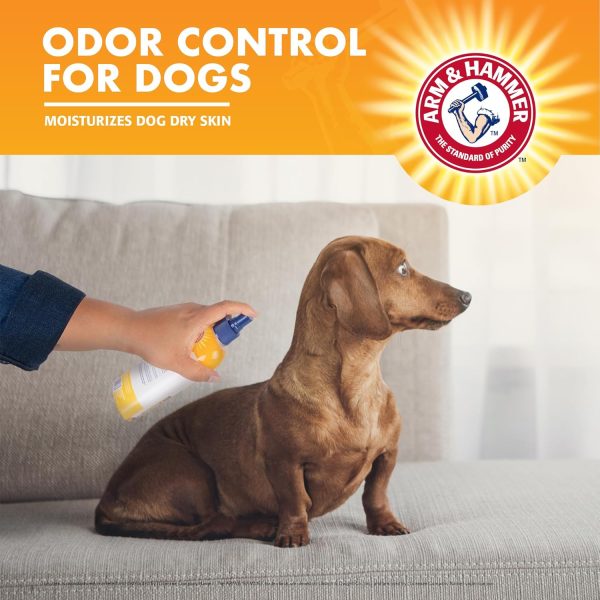 Arm & Hammer for Pets Super Deodorizing Spray for Dogs | Best Odor Eliminating Spray for All Dogs & Puppies | Fresh Kiwi Blossom Scent That Smells Great, 8 Ounces - Image 4