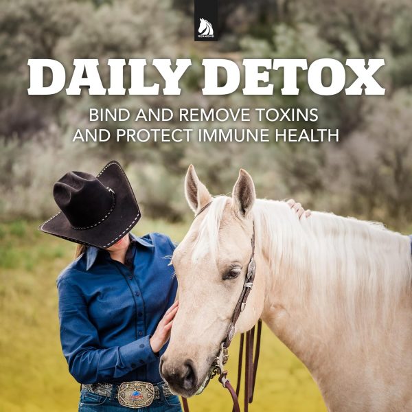 Daily Gold Stress Relief – Natural Digestive and Ulcer Supplement for Horses - Image 7