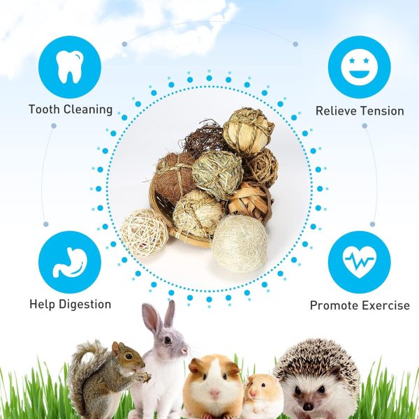 Small Animals Play Balls, Chew Grass Balls & Rolling Chew Toys for Bunny, Improve Pets Dental Health for Rabbit, Chinchilla, Guinea Pigs, Hamsters, Gerbils, Rats, Mice （9 Pieces） - Image 3