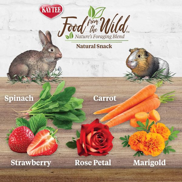 Kaytee Food from The Wild Natural Snack for Pet Rabbits, Guinea Pigs And Other Small Animals, 1 Ounce - Image 2